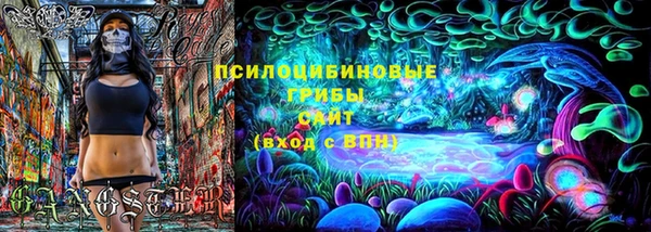 молекула духа Беломорск