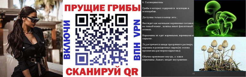 Галлюциногенные грибы GOLDEN TEACHER  Купить  Тарко-Сале 